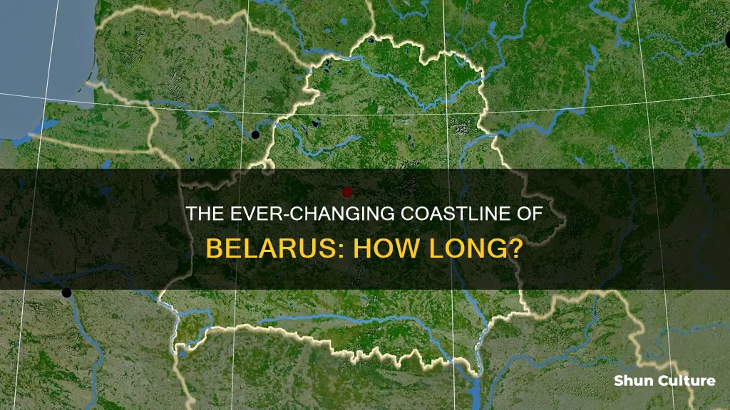 how long is the coastline of belarus