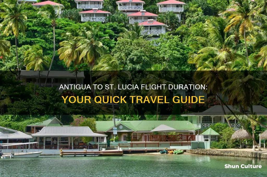 how long is the flight from antigua to st lucia