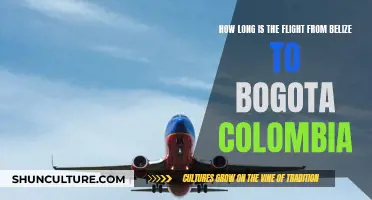 Belize to Bogota: Flight Time and Travel Tips