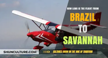 Brazil to Savannah Flight Duration: What to Expect in the Air