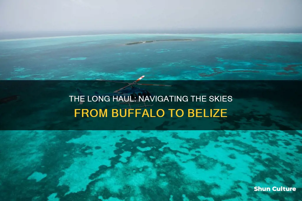 how long is the flight from buffalo to belize