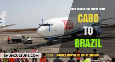 Cabo to Brazil Flight Duration: What to Expect in the Air
