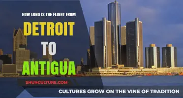 Detroit to Antigua Flight Duration: What to Expect in the Air