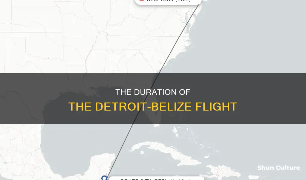 how long is the flight from detroit to belize