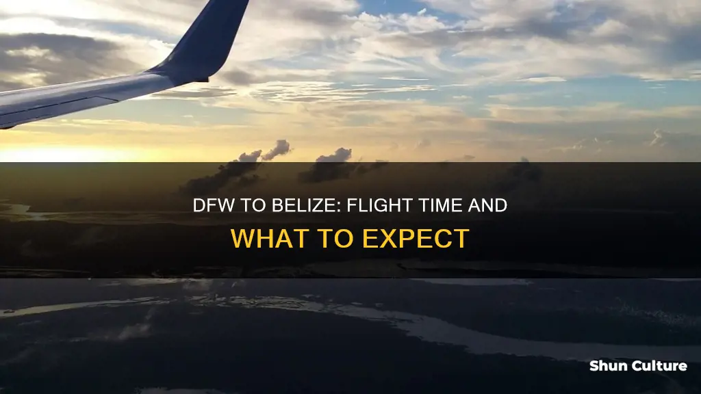 how long is the flight from dfw to belize