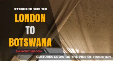 London to Botswana Flight Duration: What to Expect in the Air