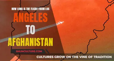 A World Away: The Long-Haul Flight Path from LA to Afghanistan