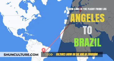 Los Angeles to Brazil Flight Duration: What to Expect
