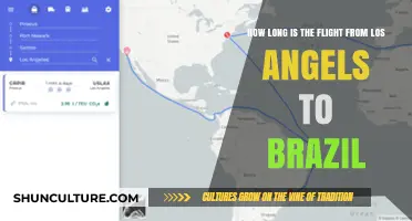 Los Angeles to Brazil Flight Duration: What to Expect