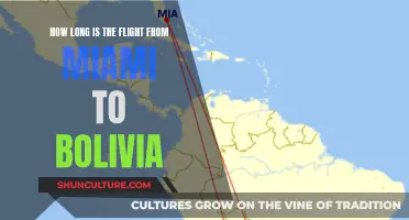 Exploring Flight Routes: Miami to Bolivia Duration