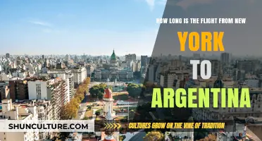 Exploring the Skies: New York to Argentina Flight Duration