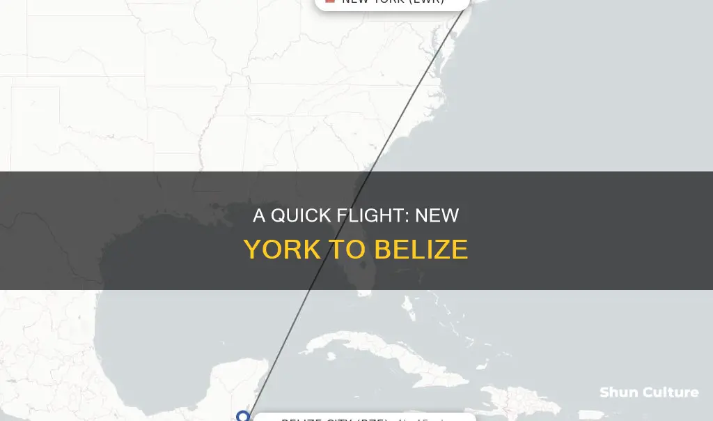 how long is the flight from new york to belize