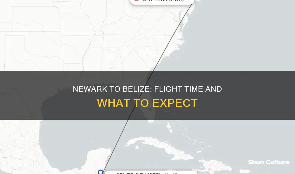 how long is the flight from newark to belize