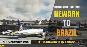 Newark to Brazil Flight Duration: What to Expect in the Air