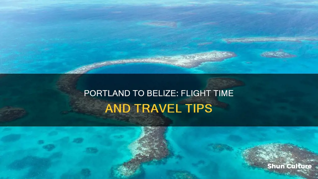 how long is the flight from portland to belize