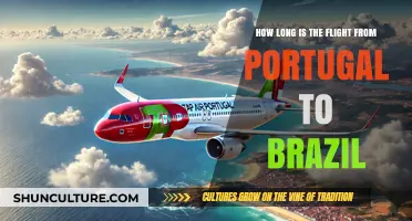 Portugal to Brazil Flight Duration: What to Expect in the Air