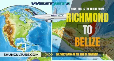 The Long Haul: Navigating the Skies from Richmond to Belize