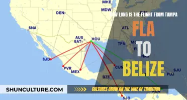 Tampa to Belize: Flight Time and What to Expect