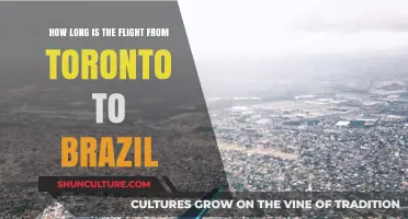 Toronto to Brazil Flight Duration: What to Expect in the Air