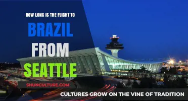 Seattle to Brazil Flight Duration: What to Expect in the Air