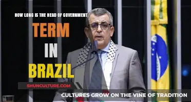 Brazil's Head of Government Term Length Explained: A Comprehensive Overview