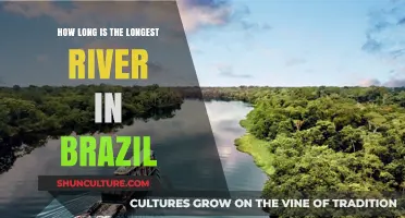 Exploring Brazil's Longest River: Length and Fascinating Facts Revealed