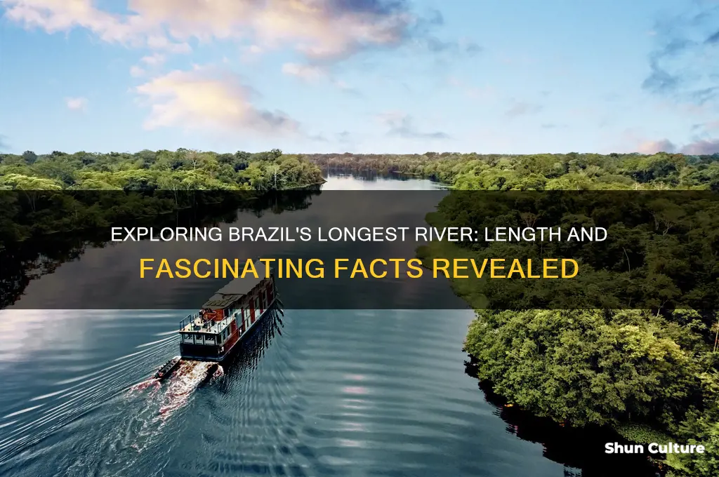 how long is the longest river in brazil