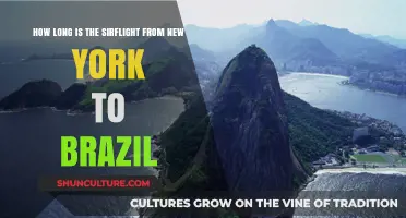 New York to Brazil Flight Duration: What to Expect