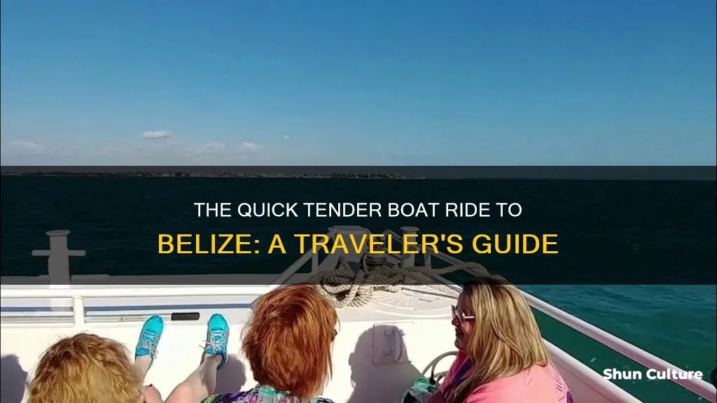 how long is the tender boat ride to belize