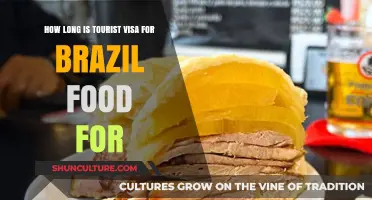 Exploring Brazil: Tourist Visa Duration and Culinary Delights Unveiled