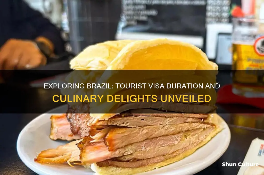 how long is tourist visa for brazil food for