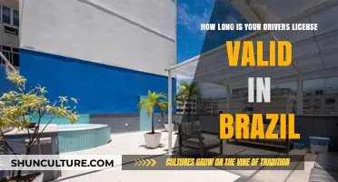 Understanding Brazil's Driver's License Validity Period: A Comprehensive Guide
