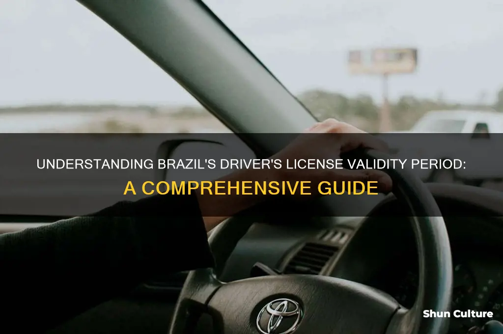 how long is your drivers license valid in brazil