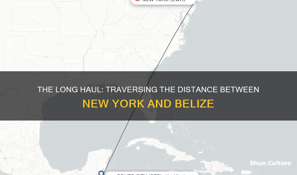 how long it take from ny to belize