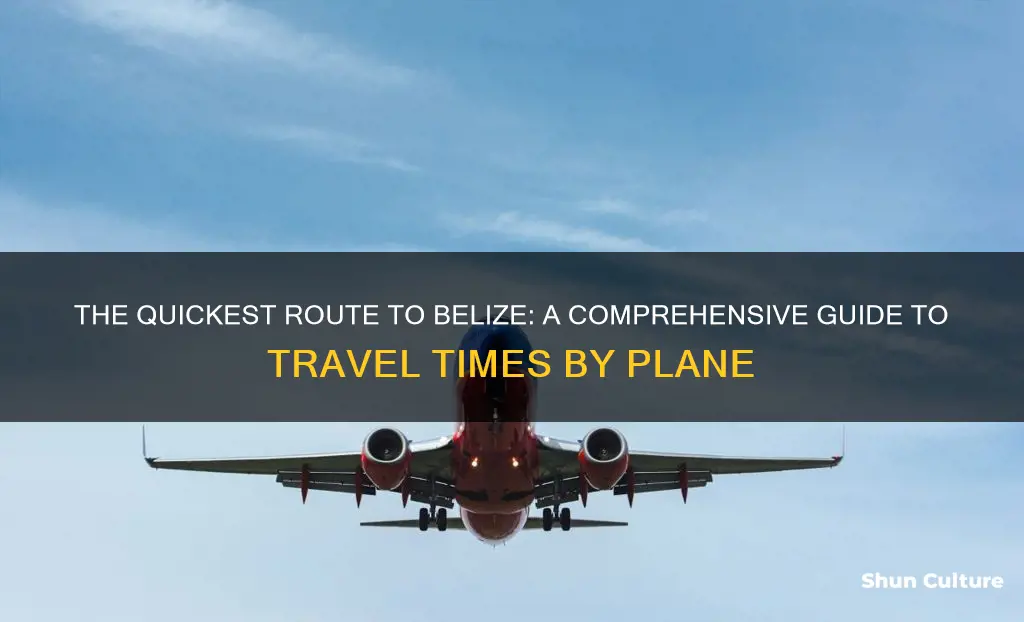 how long it takes to get to by pane belize