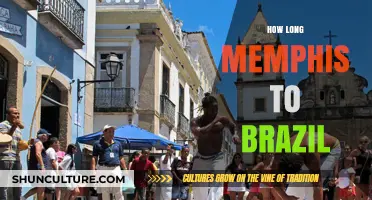 Memphis to Brazil: Travel Time and Best Routes Explained