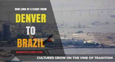 Denver to Brazil Flight Duration: What to Expect in the Air