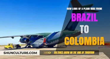 Brazil to Colombia Flight Time: What to Expect in the Air