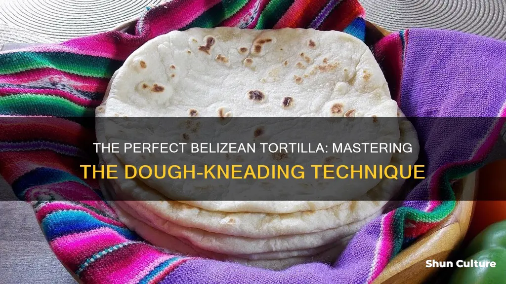 how long should belizean tortilla dough be knead