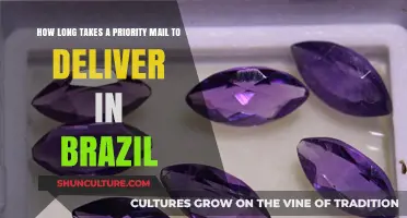 Priority Mail Delivery Times in Brazil: What to Expect