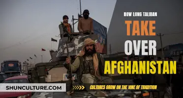 The Swift Surge: Taliban's Lightning Takeover of Afghanistan