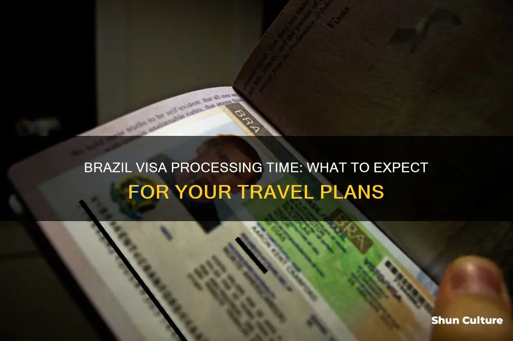 how long time the brazil visa takes
