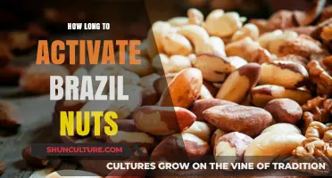 Activating Brazil Nuts: Time, Benefits, and Step-by-Step Guide