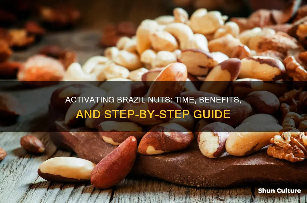 how long to activate brazil nuts