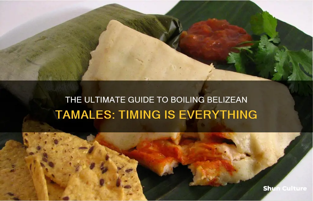 how long to boil belizean tamales