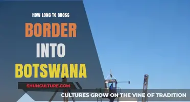 Crossing into Botswana: Understanding Border Wait Times and Tips