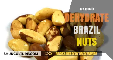 Dehydrating Brazil Nuts: Optimal Time and Tips for Perfect Results