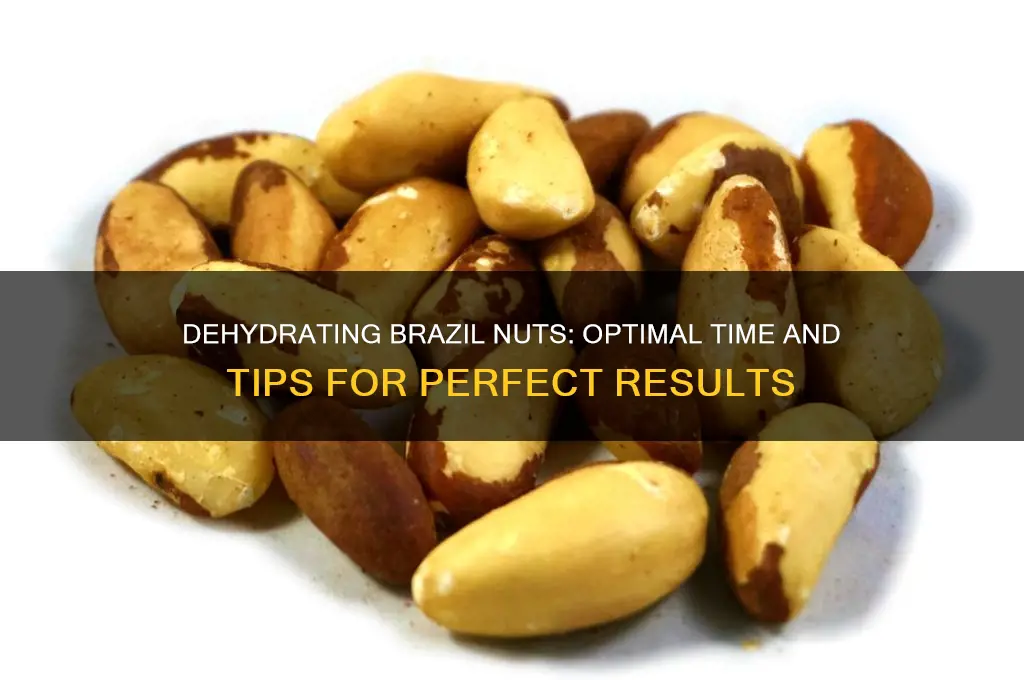 how long to dehydrate brazil nuts