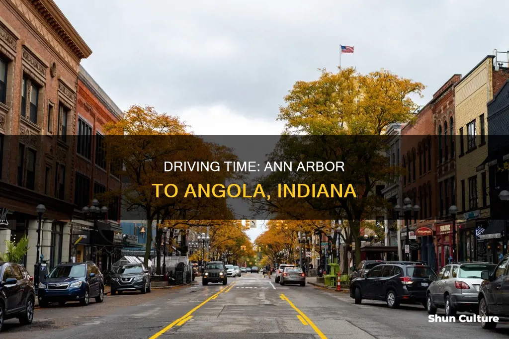 how long to drive from ann arbor to angola indiana