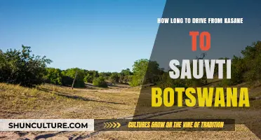 Kasane to Savuti Drive Time: A Botswana Adventure Guide